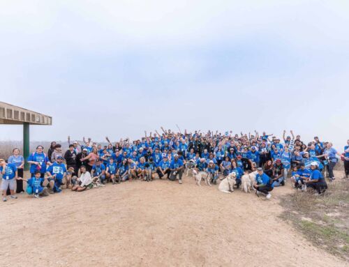 Four Hikes, One Mission: Stepping Up for Kids in Foster Care